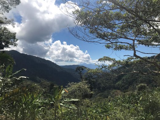 Committed To Sustainability - Peace Coffee