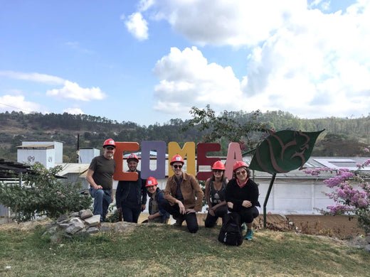 Cooperative Journey: COMSA - Peace Coffee