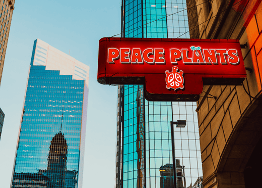 Introducing Peace Plants, our new Coffeeponics Facility - Peace Coffee