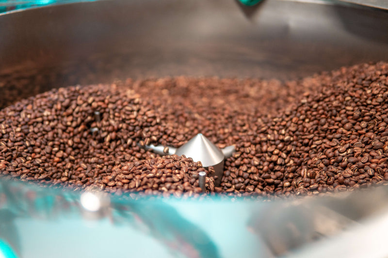 Freshly roasted Peace Coffee beans in the cooling tray