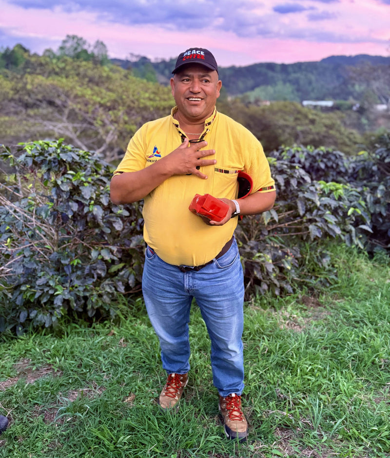 Coffee farmer holding freshly picked cherries