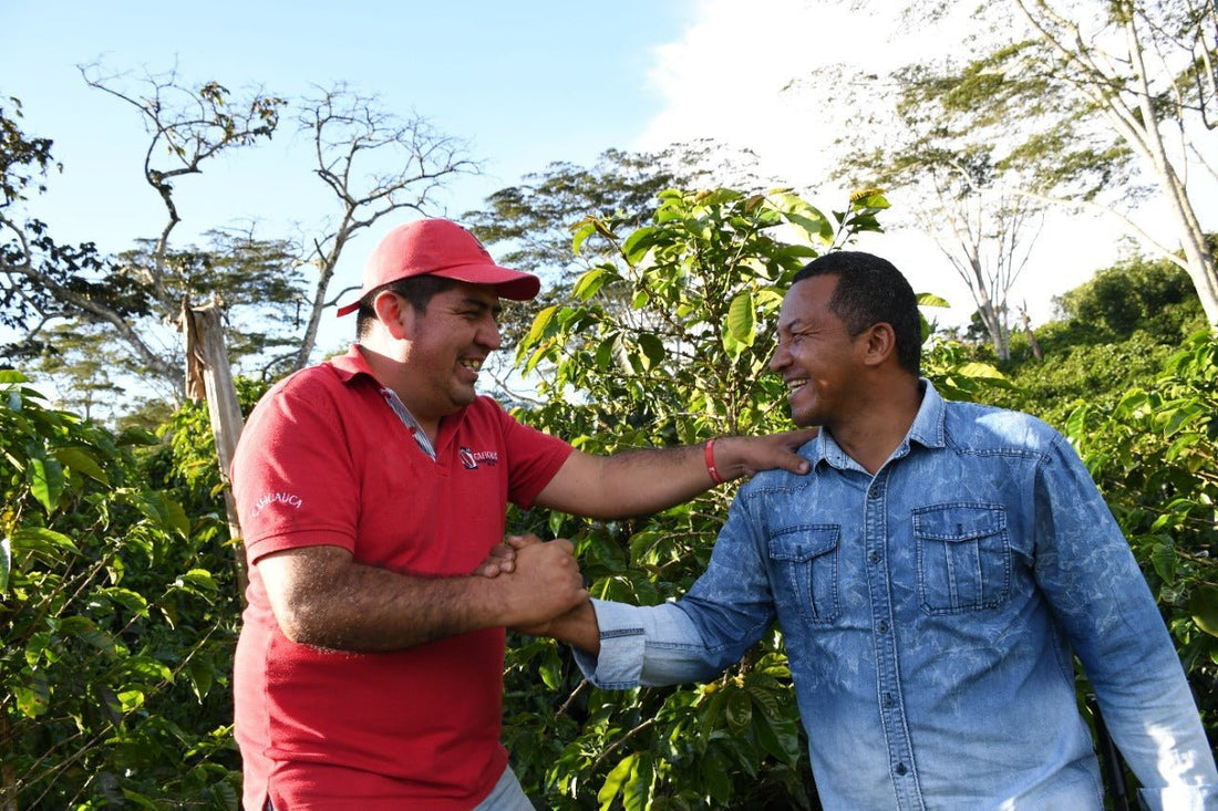 Caficauca - Colombia - Peace Coffee