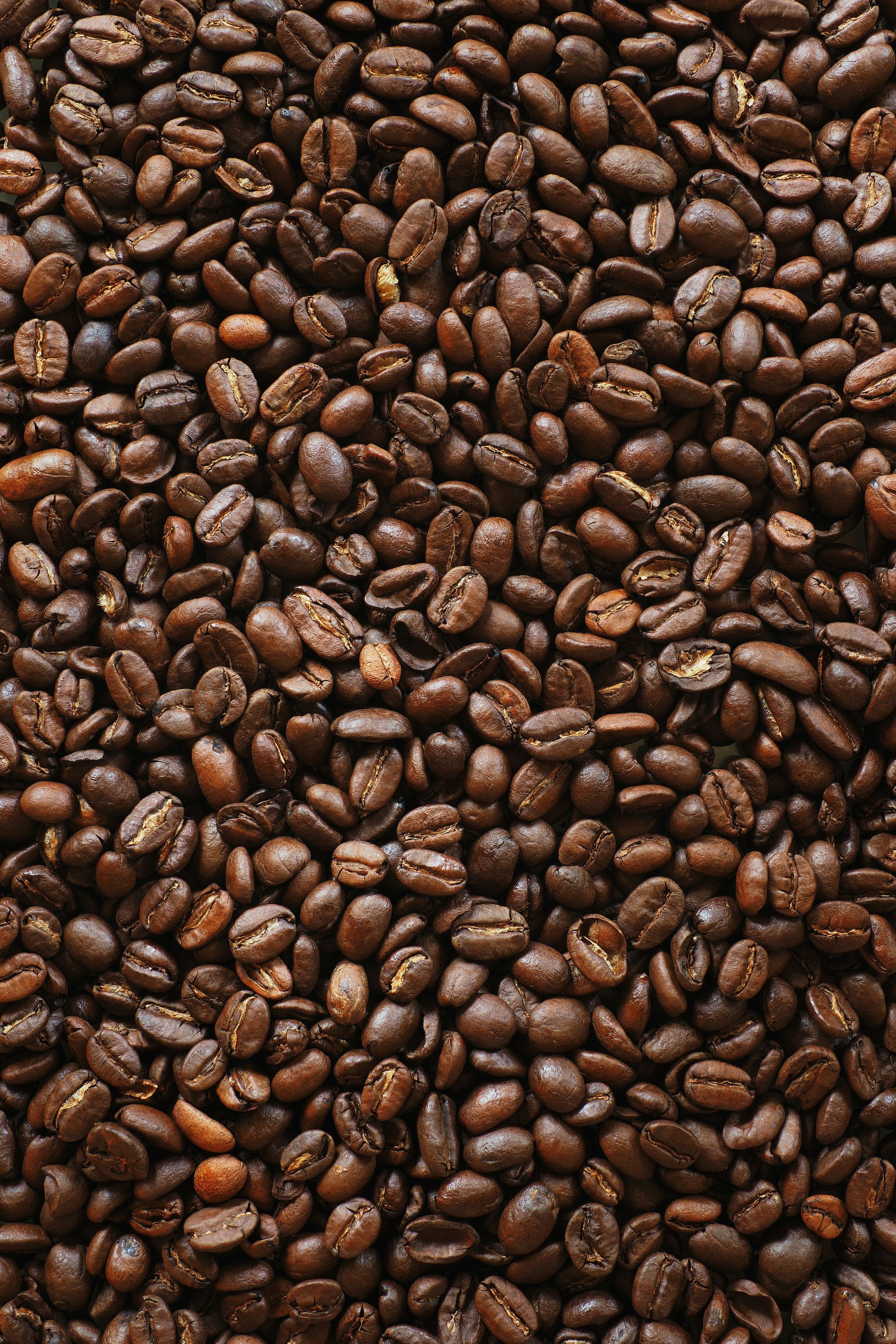 Our Value – Peace Coffee