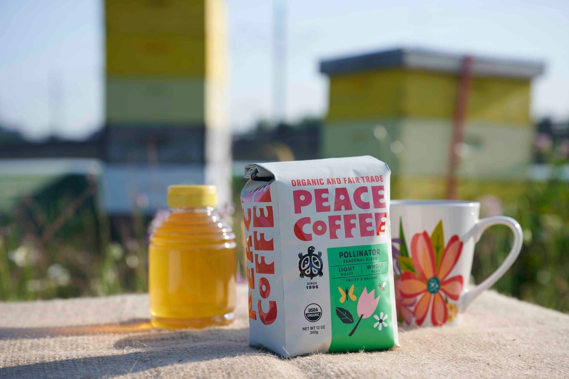 coffee for peace lily Seasonal Peace Coffee Coffee Subscription